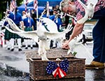 doves released from basket