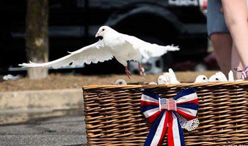 wicker dove release basket