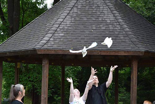wedding dove release